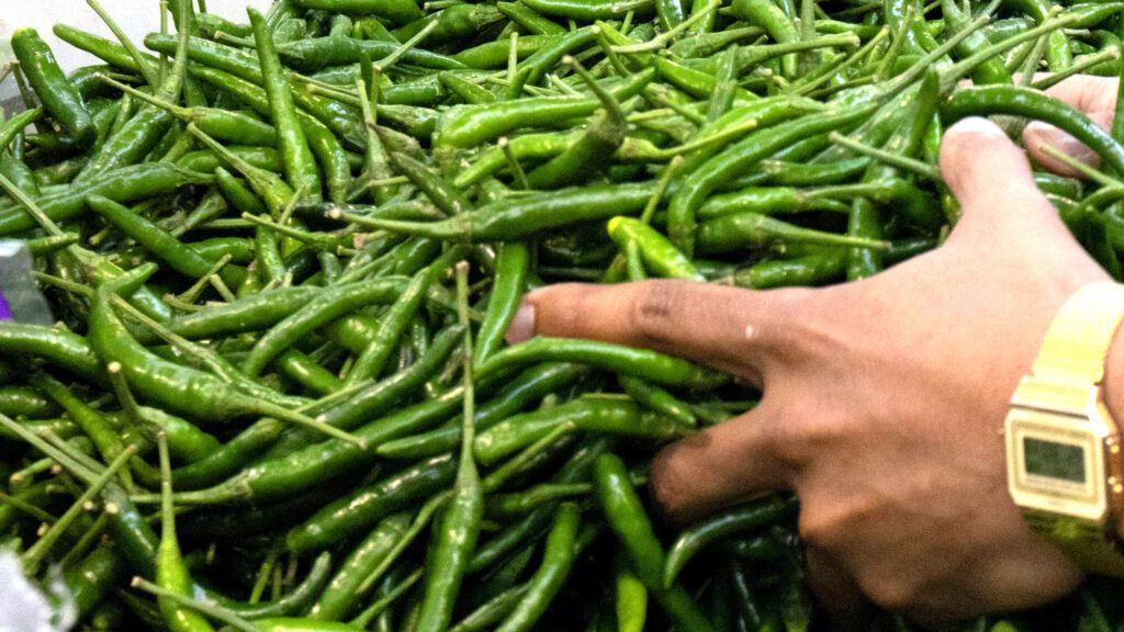 vinny anand the chili score short film the film fund